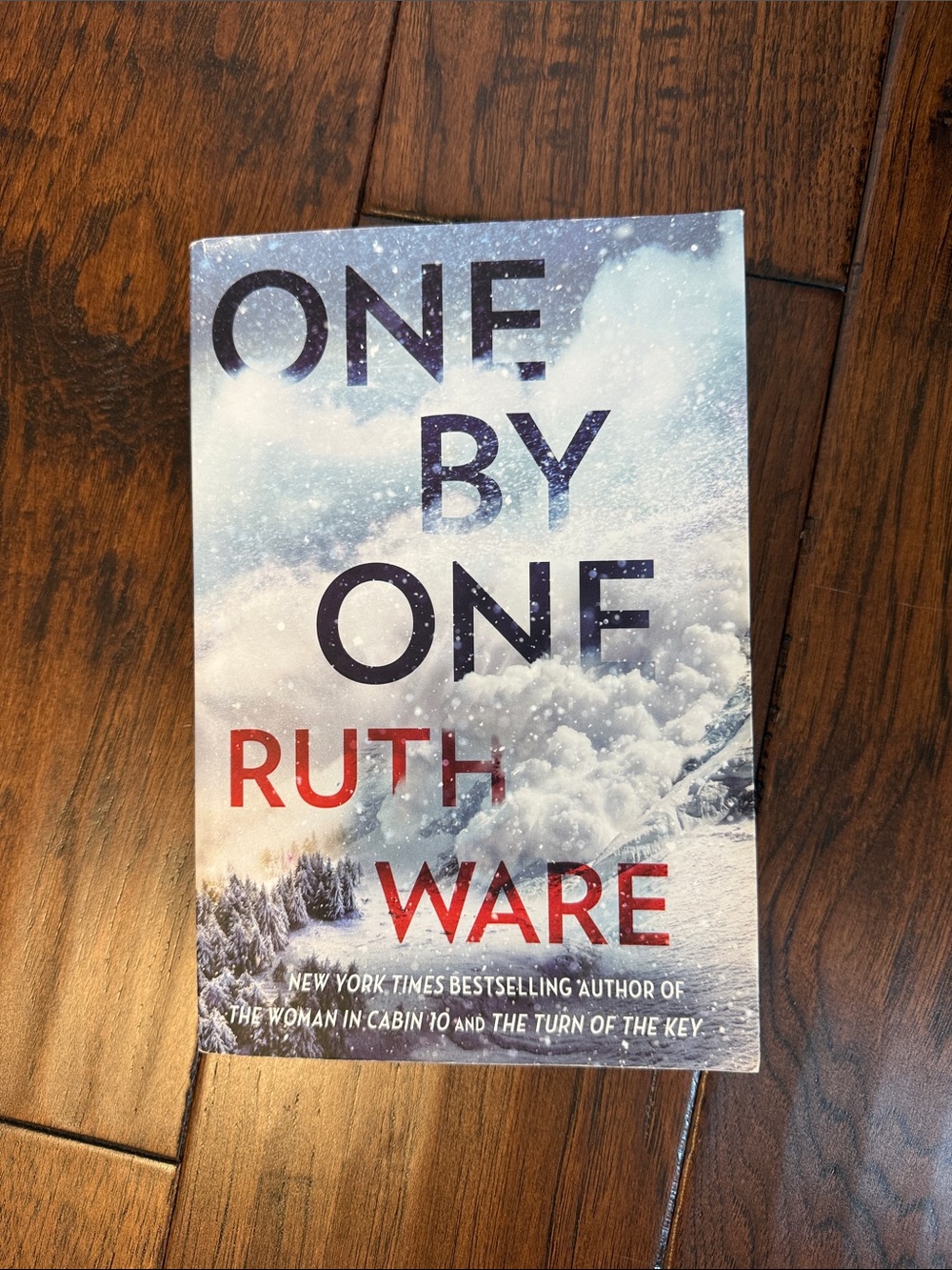 INDIGO BOOK: One By One by Ruth Ware